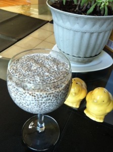 ChiaPudding