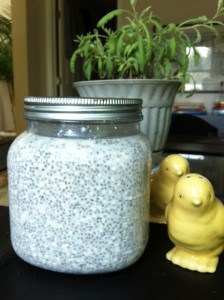 After an overnight chill in the refrigerator - the pudding is ready to power me up for the morning!