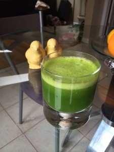 Remember the Rinse Cycle on the Blender!